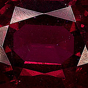 product close up Product closeup