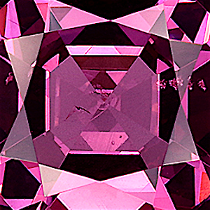 product close up Product closeup