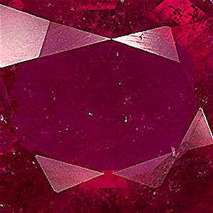 product close up Product closeup