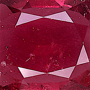 product close up Product closeup