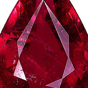 product close up Product closeup