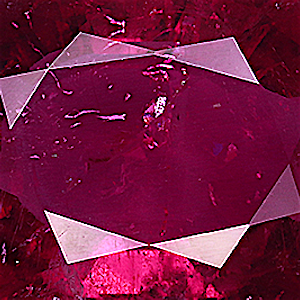 product close up Product closeup