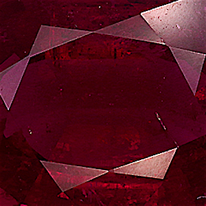 product close up Product closeup