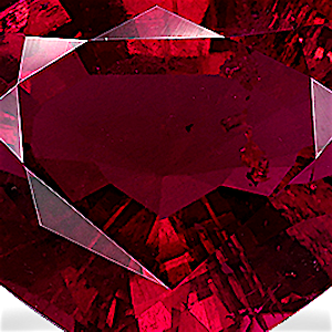 product close up Product closeup