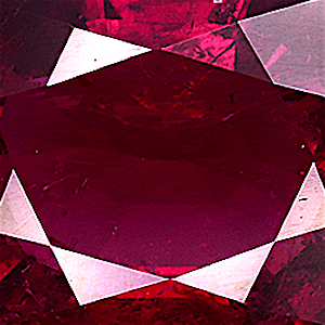 product close up Product closeup