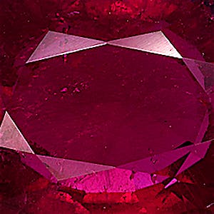 product close up Product closeup