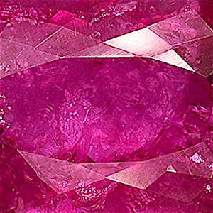 product close up Product closeup