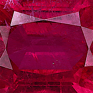 product close up Product closeup