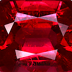 product close up Product closeup