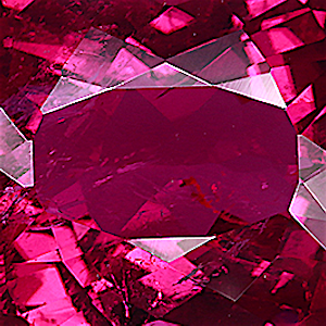 product close up Product closeup