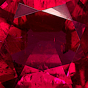 product close up Product closeup