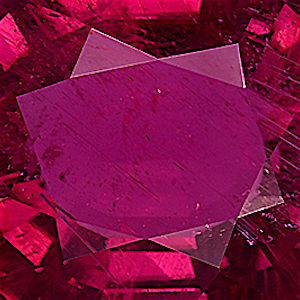 product close up Product closeup