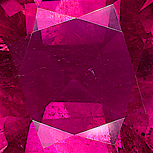 product close up Product closeup