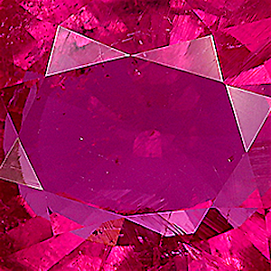 product close up Product closeup