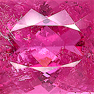 product close up Product closeup