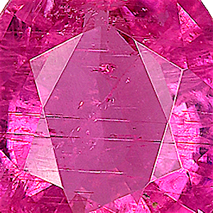 product close up Product closeup