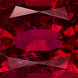 product close up Product closeup