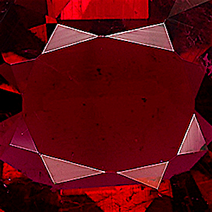 product close up Product closeup