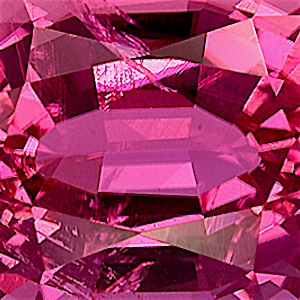 product close up Product closeup