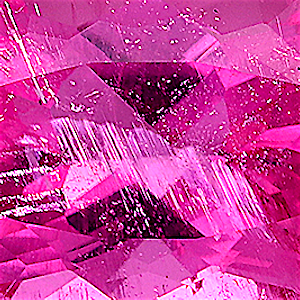 product close up Product closeup