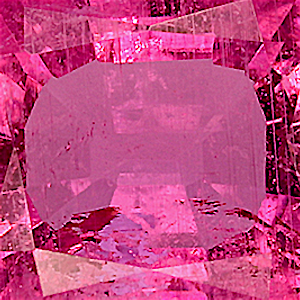 product close up Product closeup