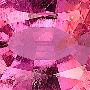 product close up Product closeup