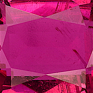 product close up Product closeup