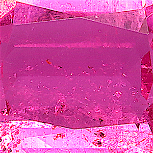 product close up Product closeup