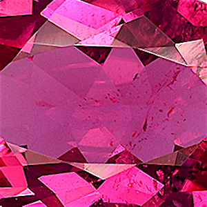 product close up Product closeup