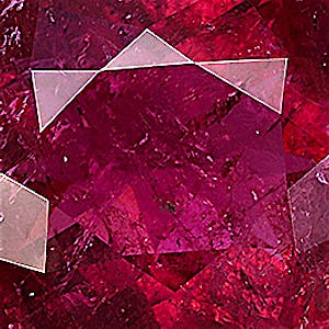 product close up Product closeup