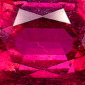 product close up Product closeup