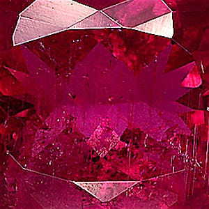 product close up Product closeup