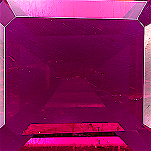 product close up Product closeup