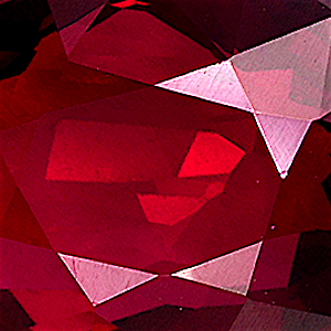 product close up Product closeup