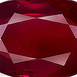 product close up Product closeup