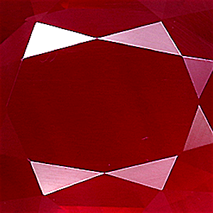 product close up Product closeup