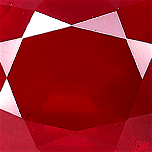 product close up Product closeup