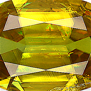 product close up Product closeup