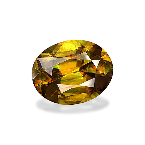 Product image-1 Product image-1