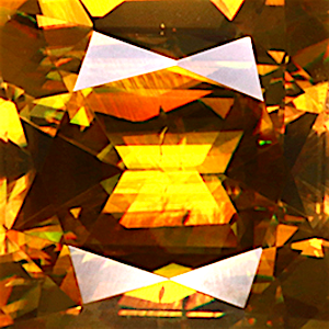 product close up Product closeup