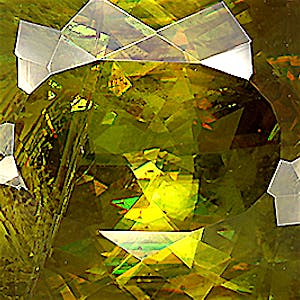 product close up Product closeup