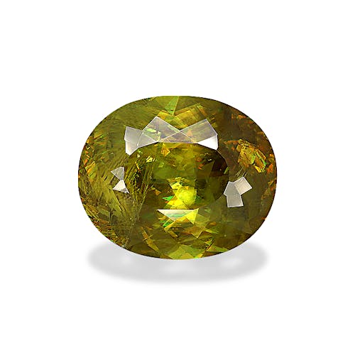 Product image-1 Product image-1