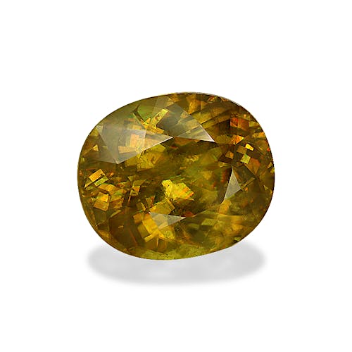 Product image-1 Product image-1