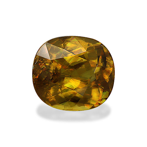 Product image-1 Product image-1