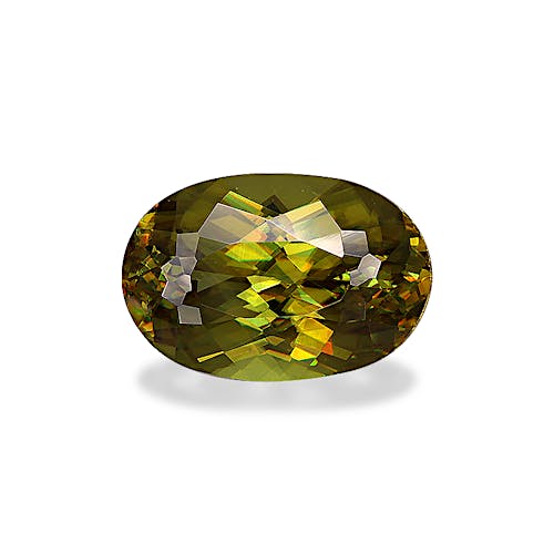 Product image-1 Product image-1