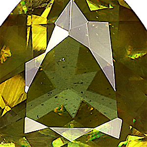 product close up Product closeup