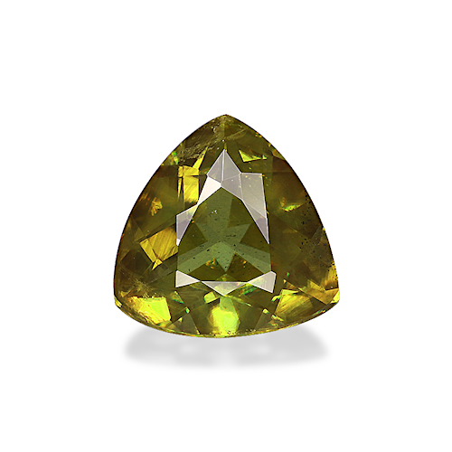 Product image-1 Product image-1