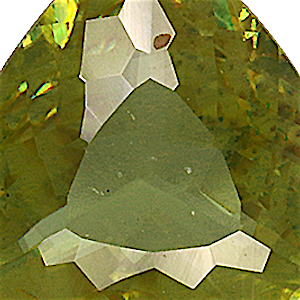 product close up Product closeup