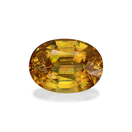 Product image-1 Product image-1