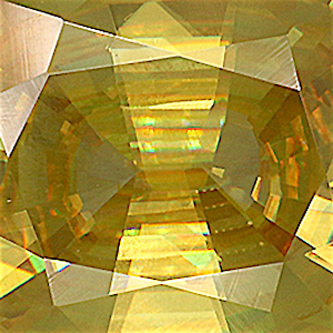 product close up Product closeup